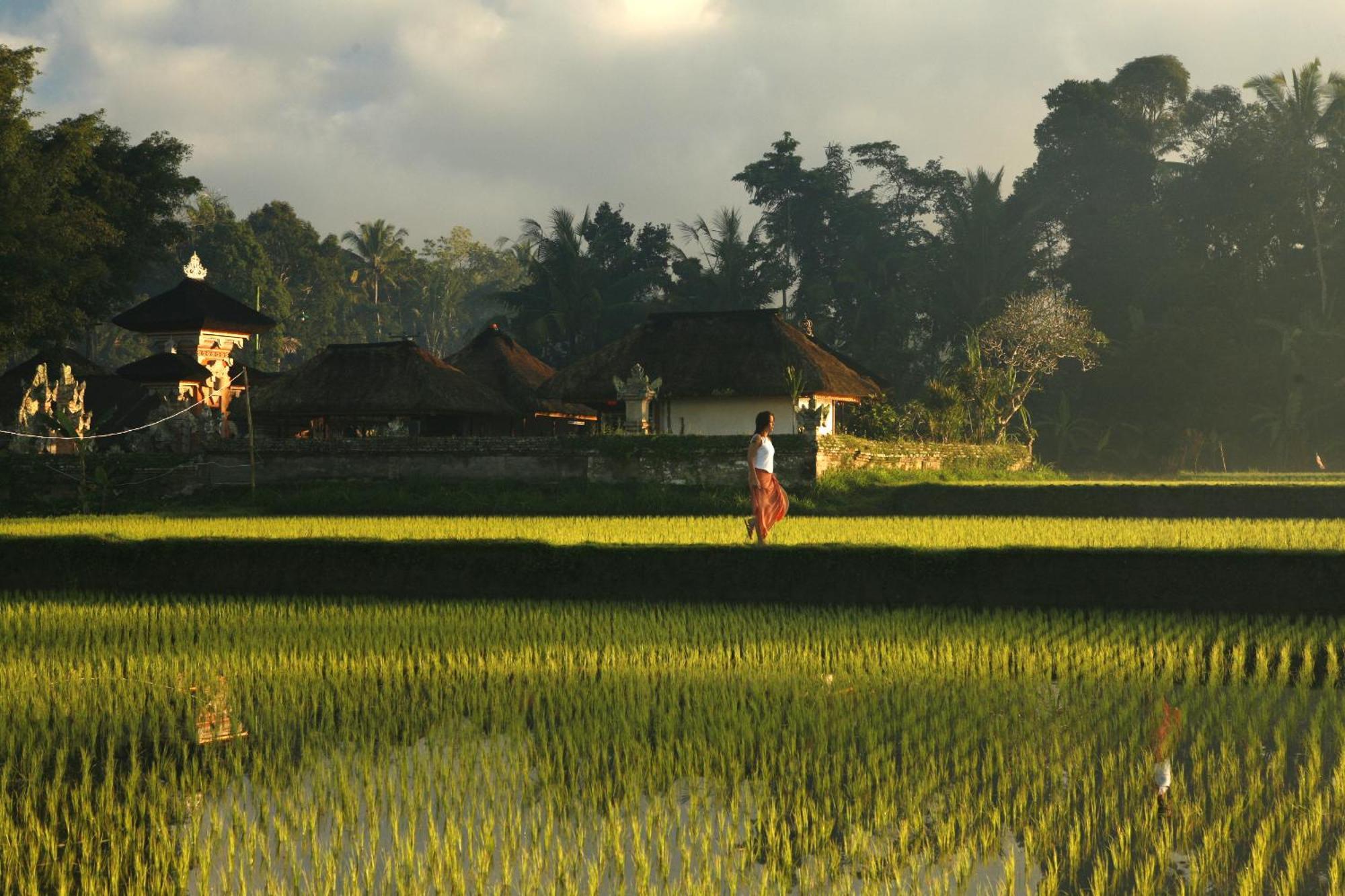 Kayumanis Ubud Private Villas & Spa สิ่งอำนวยความสะดวก รูปภาพ